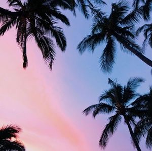 Meet your Posher, Indigo